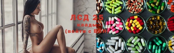 трава Сатка