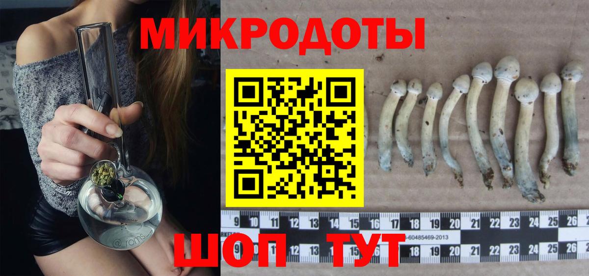 Псилоцибиновые грибы мухоморы Дятьково